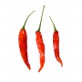 Chile Seco Arbol - 100g