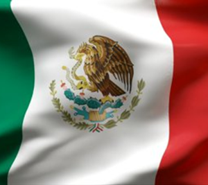 Bandera Mexicana 100x60cm
