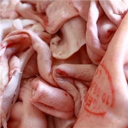 PIEL DE CERDO (CRACKLING) X KG CONGELADO