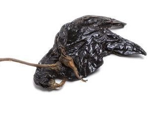 Chiles Secos Pasilla 1kg