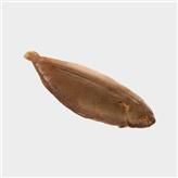 LENGUADO NL DOVER SOLE 275-325GR 5KG