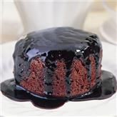 RICH CHOCOLATE PUDDING 12 PORT